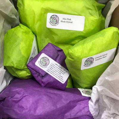 Zensability Plant Mail