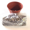 Nursery Planter Pot and Hand-mixed Soil, 2 and 4 INCH options