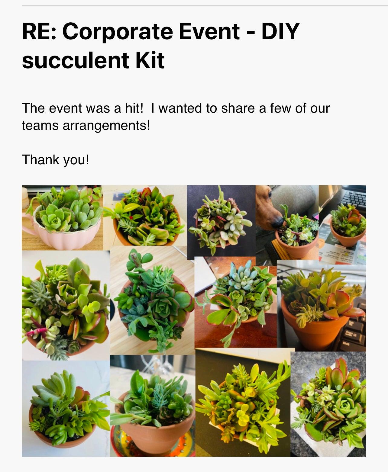 Succulent Arrangement DIY Kit w/ 2 Pots - Zensability