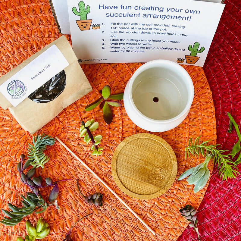 Succulent DIY Kit - 2.5” White Pot & Tray - Zensability