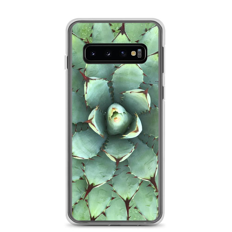 Agave succulent plant Samsung Phone Case - Zensability