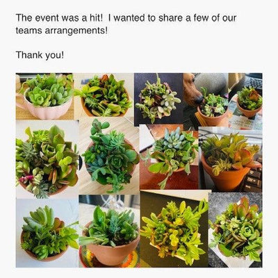 Why DIY Succulent Kits are Perfect for your Next Team Building Event