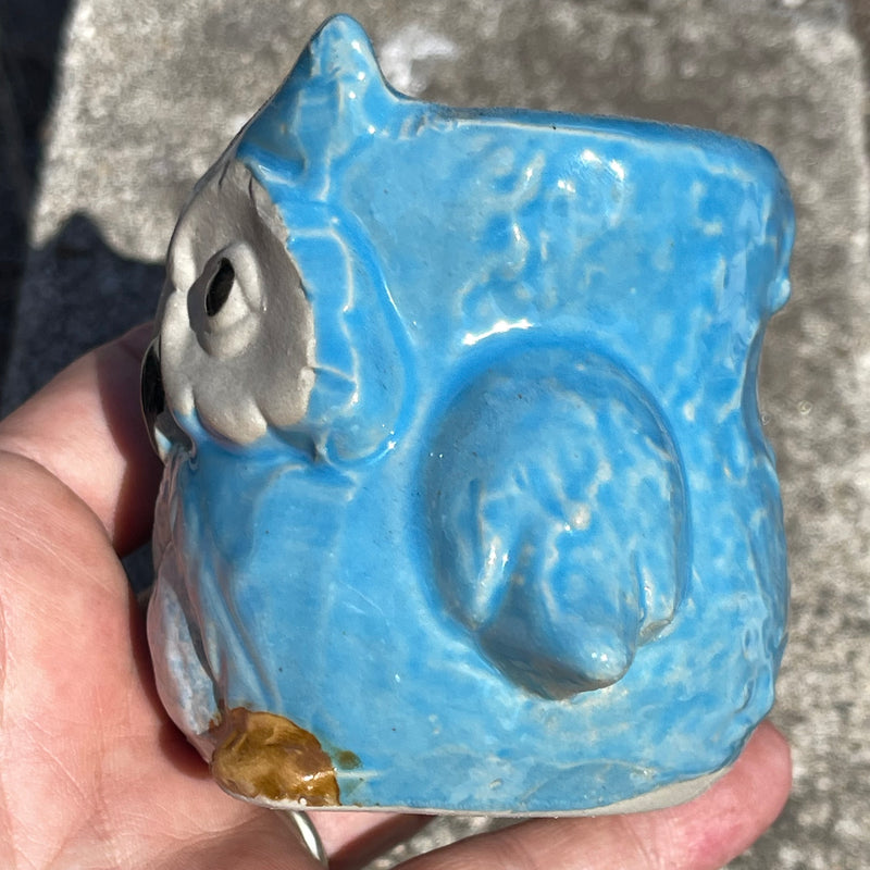Blue Owl Succulent Planter Pot - 2.5” - Zensability