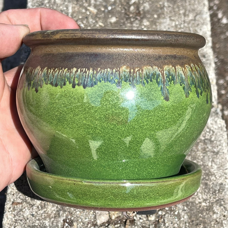 Green Ceramic Succulent Planter Pot - 4” - Zensability