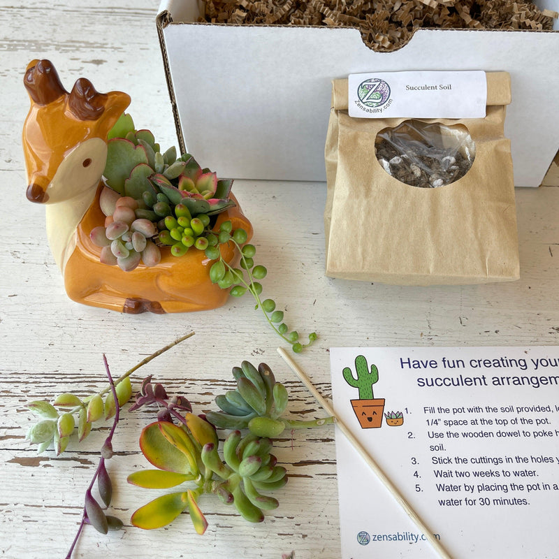 Deer Succulent DIY Kit w/ Pot & Live Cuttings - Zensability