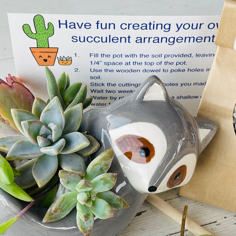 DIY Succulent Garden Kit w/ Live Cuttings & Animal Pot - Zensability