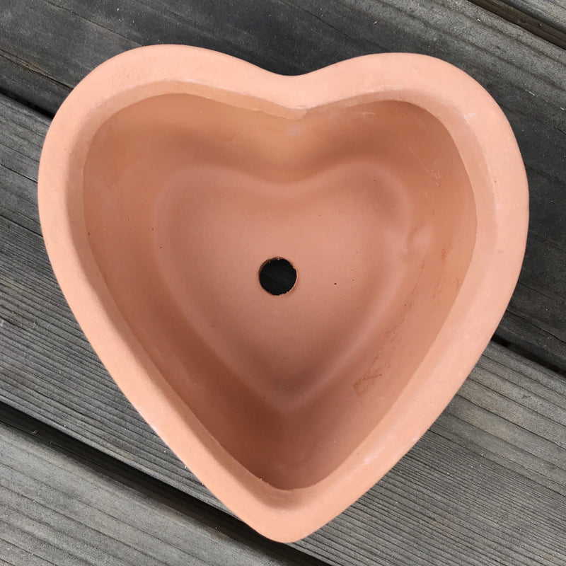 Zensability Heart shaped terra cotta succulent planter pot, valentine&