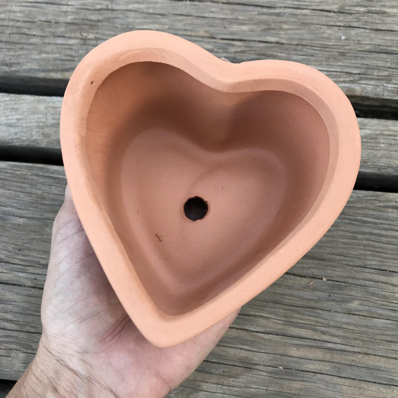 Zensability Heart shaped terra cotta succulent planter pot, valentine&