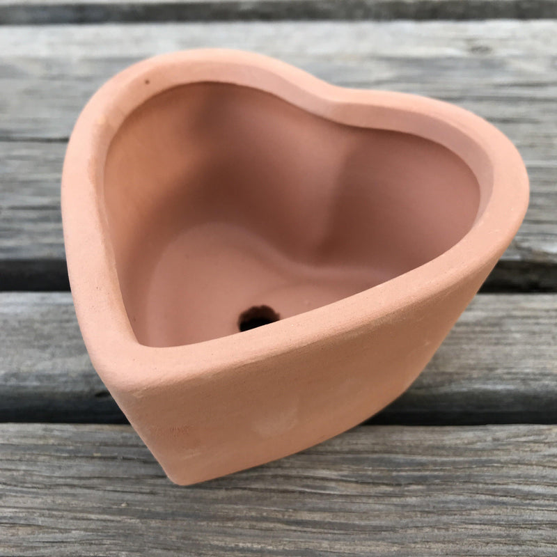 Zensability Heart shaped terra cotta succulent planter pot, valentine&